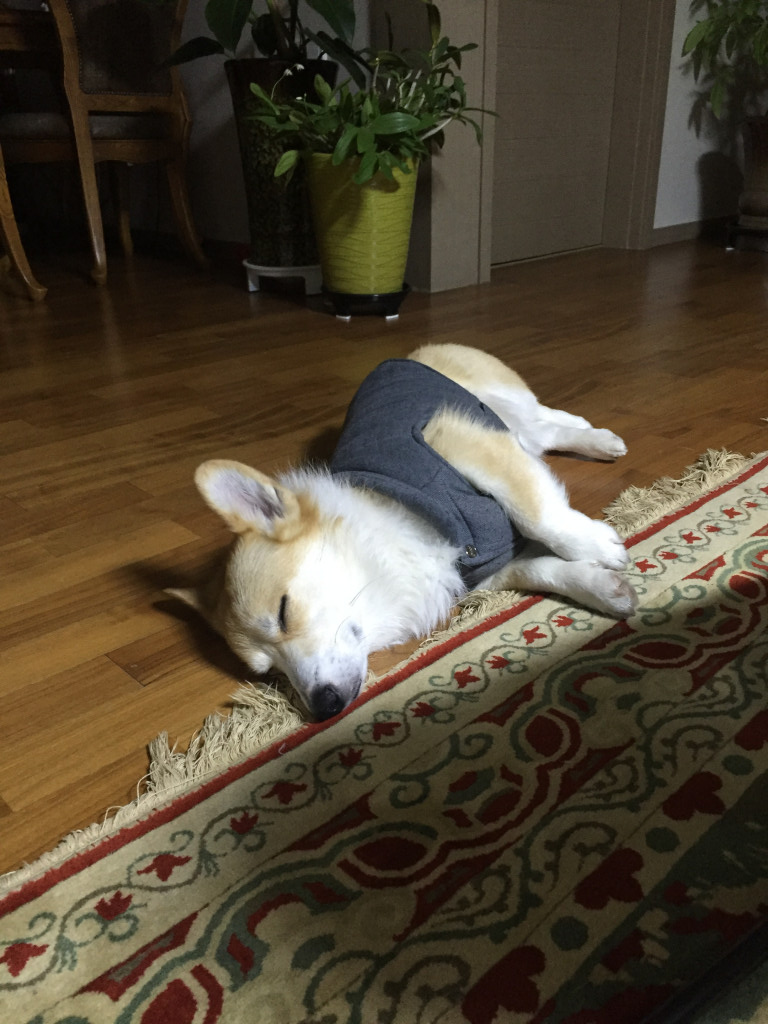 resized_IMG_8163
